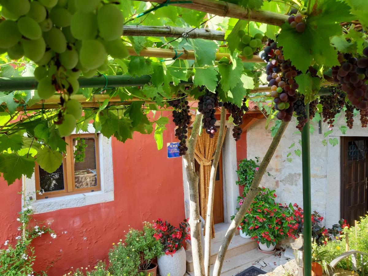 Guesthouse Villa Marija Мотовун Екстериор снимка
